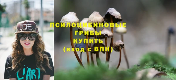 гашик Волоколамск