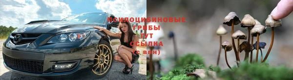 гашик Волоколамск