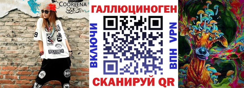 Псилоцибиновые грибы Psilocybe  Купить где  Невельск 